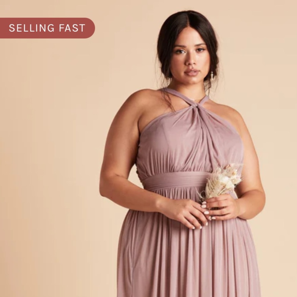 NWT Birdy Grey Kiko Floor Length Neutral Mesh Mauve Dress